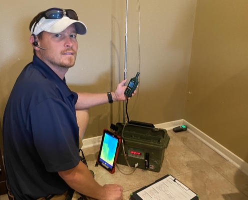 Your Mold Inspection